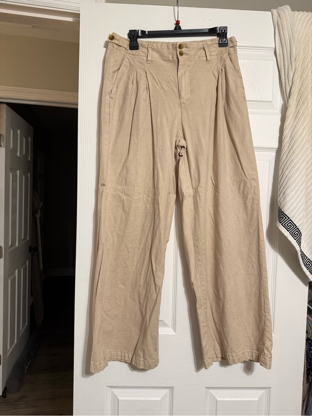 American Eagle Outfitters Tan Pleated Pants